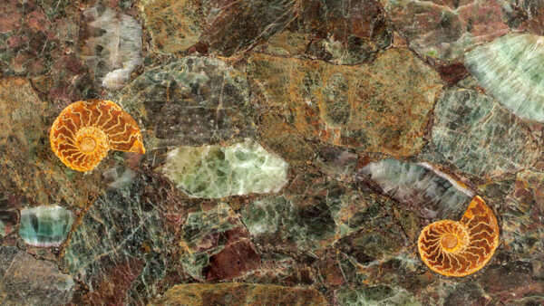 Apatite