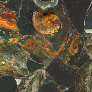 Golden Cream Jasper
