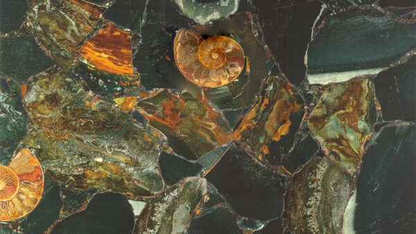 Golden Cream Jasper