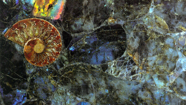Labradorite