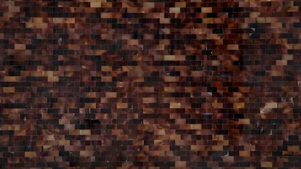 Mother Of Pearl Brown