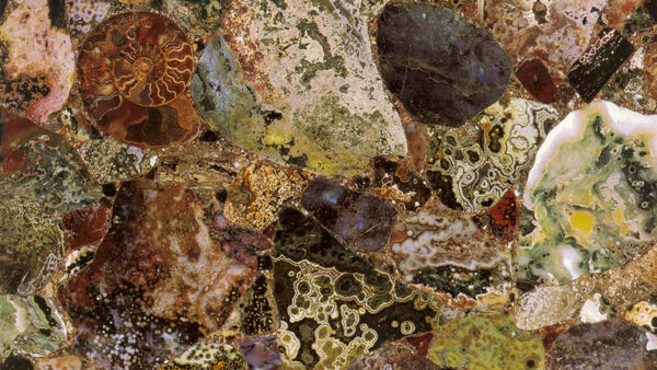 Ocean Jasper