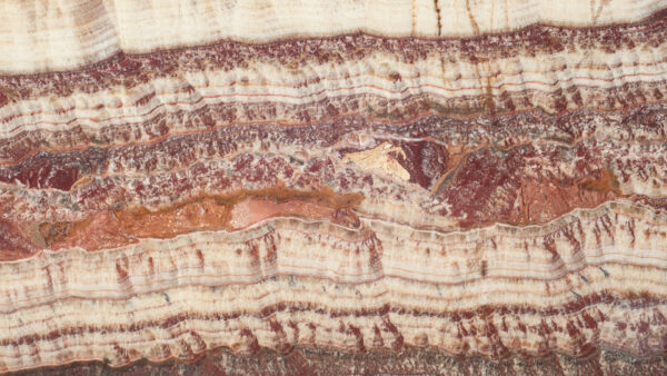 Onyx Picasso
