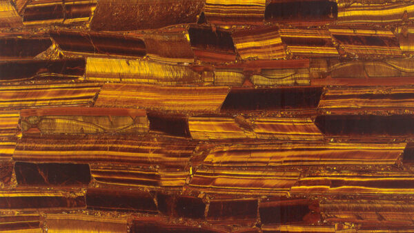 Tiger Eye
